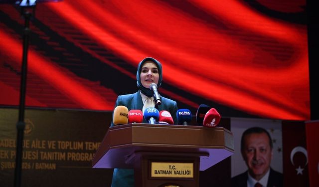 Batman Türkiye’ye Model Oluyor