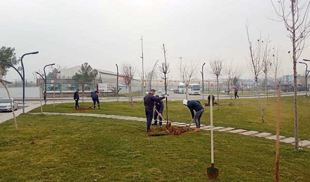 Batman’da Fidanlar Toprakla Buluşuyor