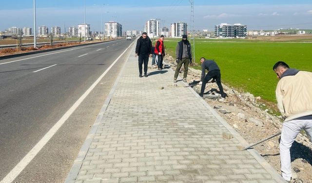 Hasankeyf Yolu Yeşile Boyanıyor
