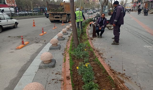 Batman Çiçek Açıyor