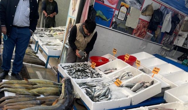 Batman’da balık mesaisi başladı