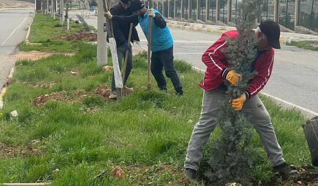 Batman’da Yeşil Koridor: Şehir Doğayla Buluştu