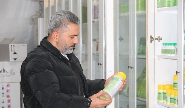 Bereketin Yanındaki Gizli Tehlike: Çiftçilere 'Mantar' Uyarısı!