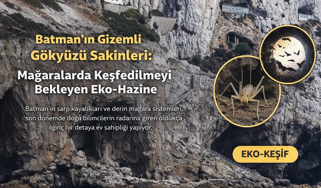 Batman’ın Gizemli Gökyüzü Sakinleri: Mağaralarda Keşfedilmeyi Bekleyen Eko-Hazine