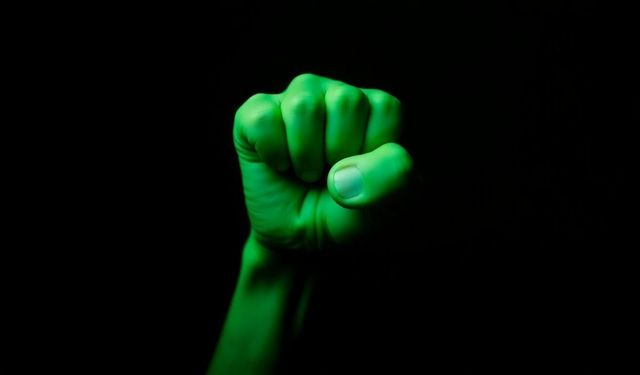 Pugno Verde Ne Demek?