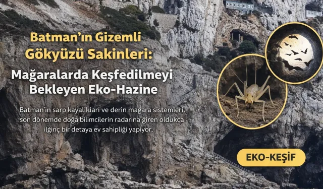 Batman’ın Gizemli Gökyüzü Sakinleri: Mağaralarda Keşfedilmeyi Bekleyen Eko-Hazine