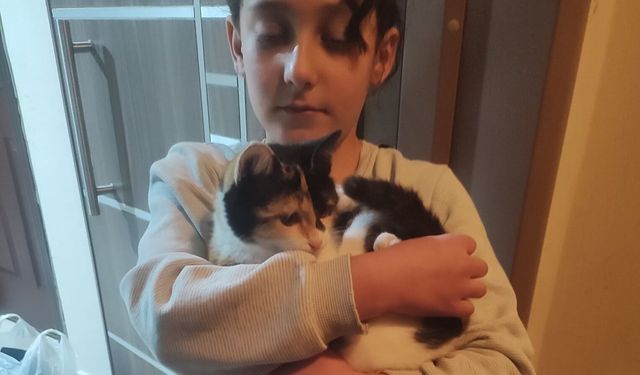 Kedisi İçin İtfaiyeyi Aradı, Mutlu Son Teşekkürle Bitti