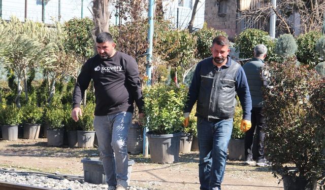 Meyve fidanı dikim sezonu başladı