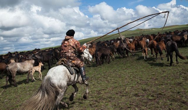 O ülkede at eti tüketimi rekor seviyeye ulaştı
