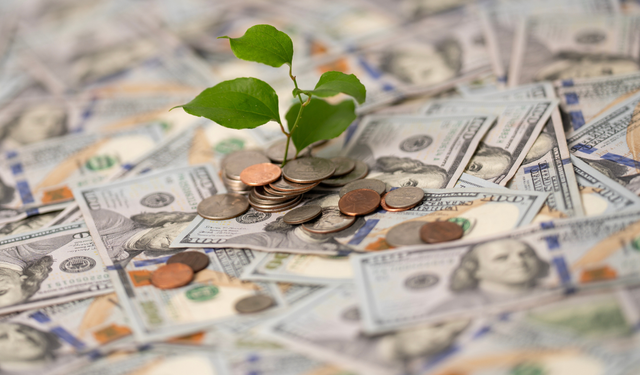 DG Para Nedir, Güvenilir mi? (Şikayet ve Yorumlar)