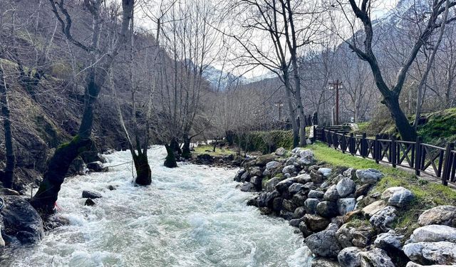 Sevek Baharla Yeniden Canlandı: Bu Güzelliği Görmeye Hazır mısınız?