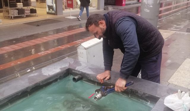 Süs Havuzları İlkbahara Hazır