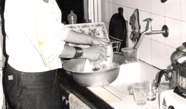 Gülüver kedi kimin, sahibi kim? Neden öldü?