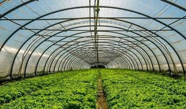 %50 Hibe Fırsatı! Batman’da Seracılıkta Yeni Dönem Başladı