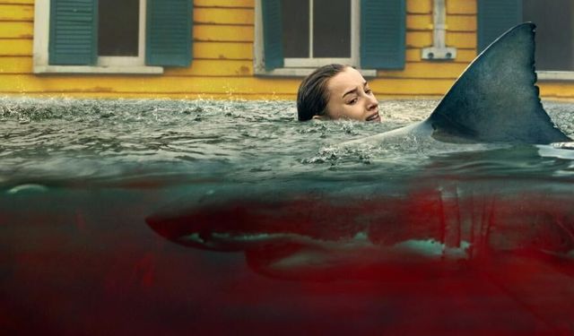 Ani saldırı imdb 2026 izle! (nerden, nasıl izlenir?