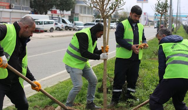 Batman’a 900 Yeni Nefes: Ağaçlandırma Seferberliği Sürüyor
