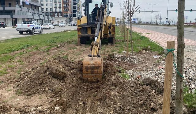 Batman’da 15 Kilometrelik Dev Yeşillendirme Hamlesi!