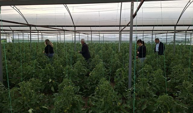 Batman’da Sera Alarmı: Yoğun Yağış Hastalık ve Zararlı Riskini Artırdı!