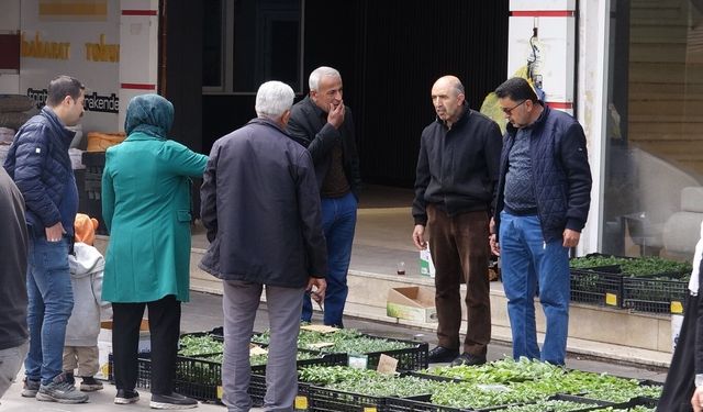 Batman’da Toprakla Buluşma Vakti: Tezgahlarda "Fide" Mesaisi Başladı!