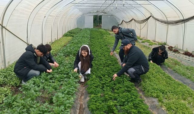 Batmanlı Öğrencilerinden Brüksel’de Uluslararası Eğitim Hamlesi
