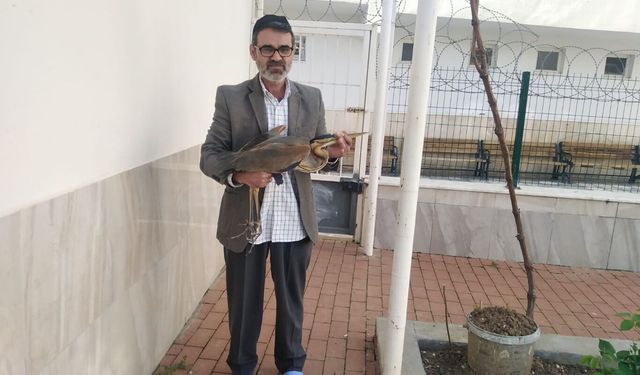 Cami Avlusunda Duyarlılık Örneği: Yaralı Balıkçıl Kuşu Cemaatin Dikkatiyle Kurtarıldı