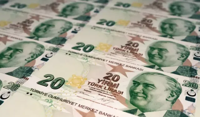 20 TL'nin arkasında kim var neden?