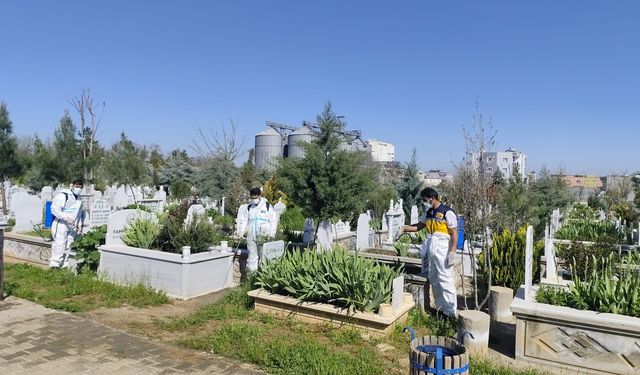 Mezarlıklarda Bahar Seferberliği: 13 Noktada Yoğun Çalışma Başladı!