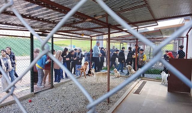 Öğrenciler Can Dostlarla Buluştu