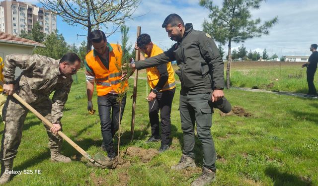 Polis Haftasında Anlamlı Etkinlik Fidanlar Toprakla Buluştu