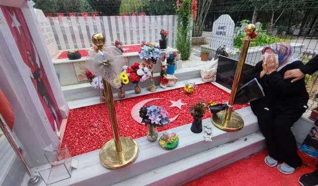 Şehit Sude Sarıkaya'nın mezarına kim, neden saldırdı?