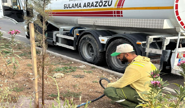 ARAÇ KİRALAMA HİZMETİ ALINACAKTIR