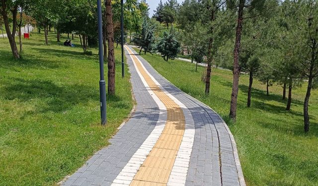 224 Parkta Temizlik ve Bakım Yapıldı