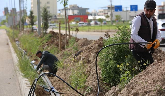 Batman’ın Girişleri Baştan Sona Yeşilleniyor