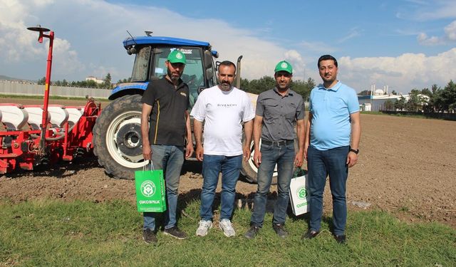 Batmanlı Çiftçiler Alarm Veriyor: Maliyetler %300 Arttı, Pamukta Destek Şart