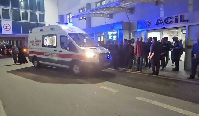 Beşiri’de Yıldırım Faciası: Hayvanlarını Otlatırken Ağır Yaralandı
