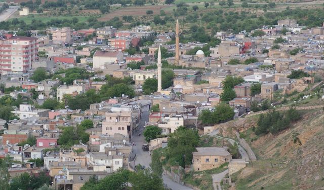 Gercüş’te Bahar Coşkusu Başlıyor: Şenlik 7 Mayıs’ta!