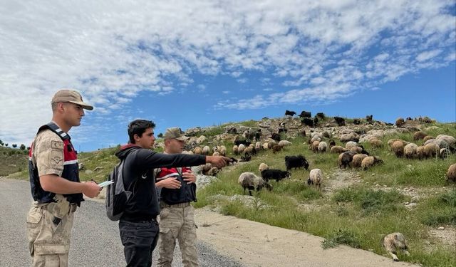 Sason’da Hayvan Hırsızlığına Karşı Seferberlik: Binlerce Vatandaşa Ulaşıldı