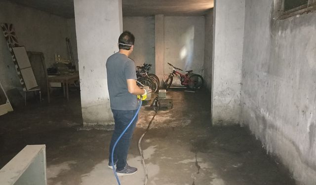 Batman Belediyesi’nden Haşere Açıklaması: “Geçici Bir Doğal Süreç”