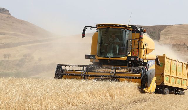 Çiftçinin Yüzü Verimle Güldü, Fiyat ve Destekler Moralleri Bozdu