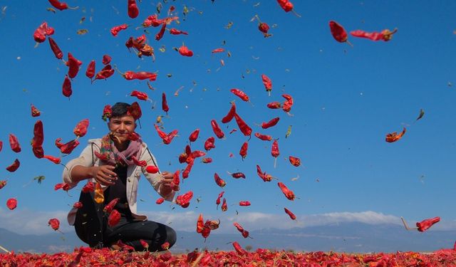 Gaziantep'in hikayesi objektiflere yansıyor