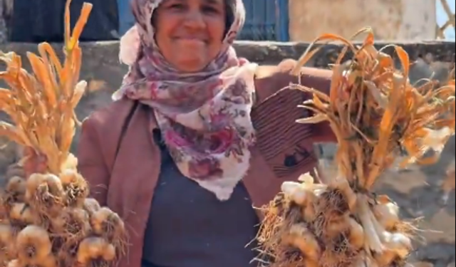 Hasankeyf’te Bereket Mesaisi: Tescilli Mehina Sarımsağı Hasadı Yapıldı