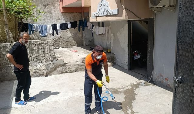 Mahalleler 2 günde bir ilaçlanıyor