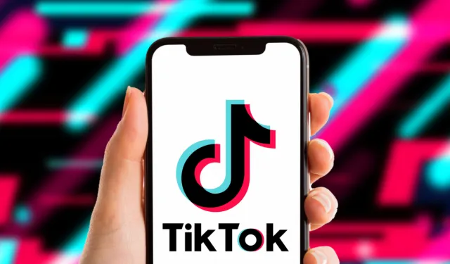 Dilan Polat'ın TikTok hesabı neden kapatıldı, erişim engeli mi geldi?