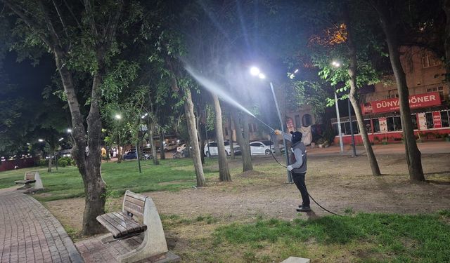 Yaz Dönemi İlaçlama Çalışmalarına Hız Verildi