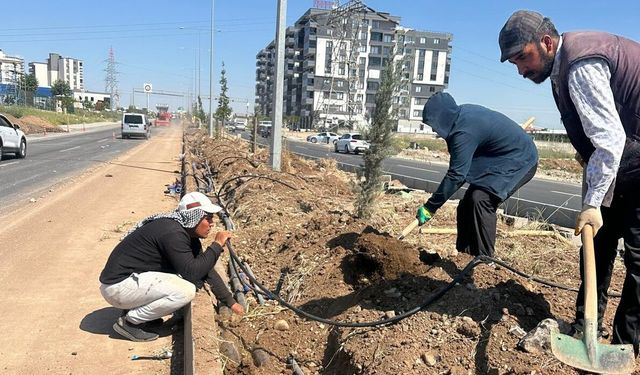 Yeşil Kuşak Batman’ı Sarıyor: Çevre Yollarında Dev Ağaçlandırma Hamlesi