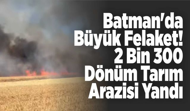 Batman'da Büyük Felaket! 2 Bin 300 Dönüm Tarım Arazisi Yandı