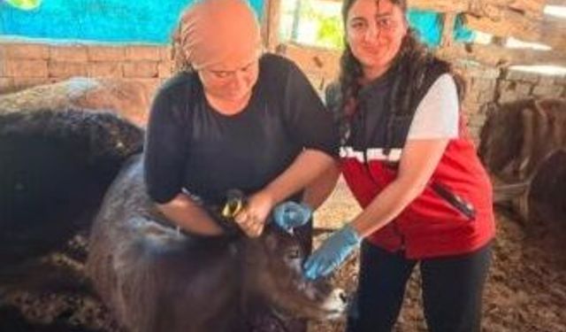 Batman'da Çiftçilere Yerinde Destek