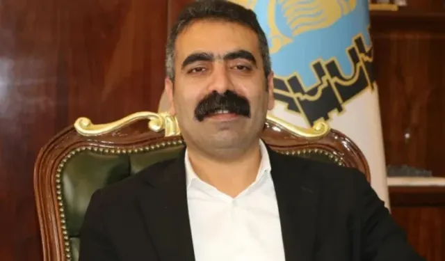 DEM Partili Doğan Hatun Görevinden İstifa Etti: "Beklentilere Cevap Veremedim"