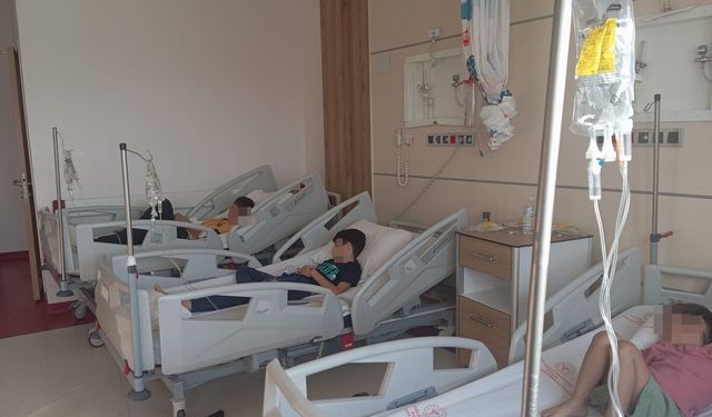 Düğün pastası 150 kişiyi hastanelik etti