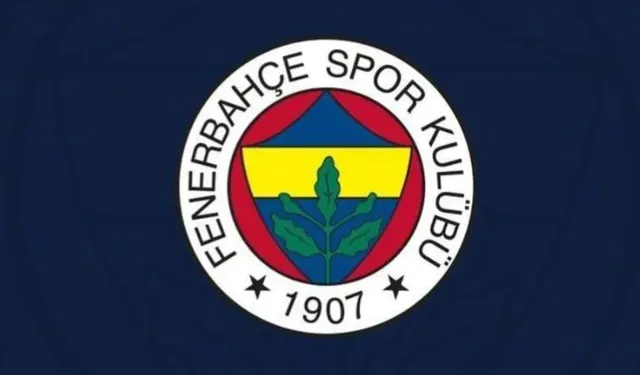 Maç ne zaman devam edecek? Fenerbahçe Gornik Zabrze maçı neden durdu?